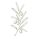 Olio d'oliva