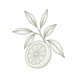 Arancia